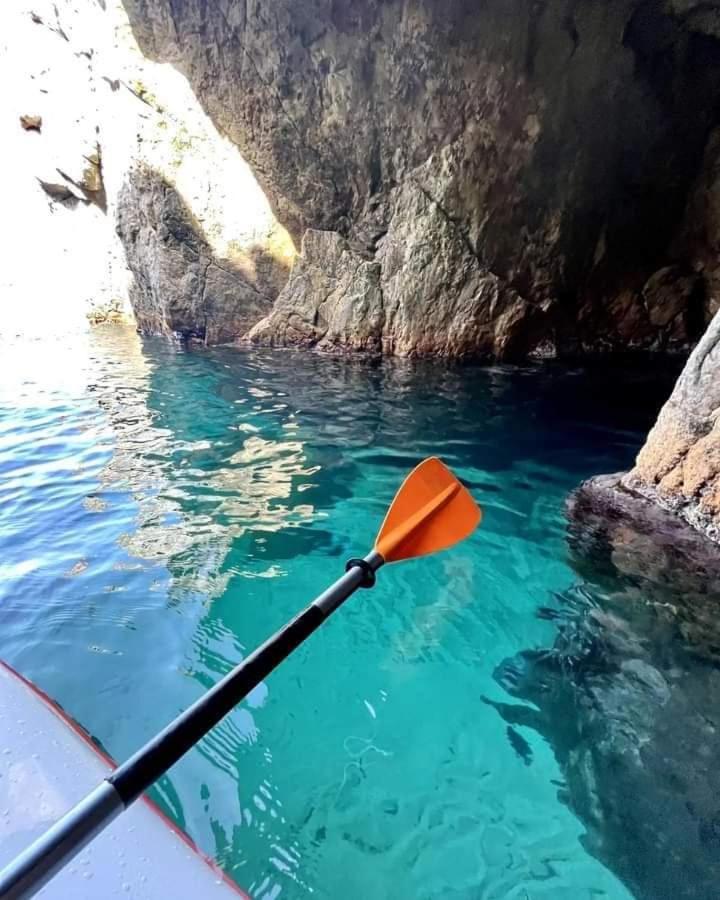 Residence Aquilaria Dar Narjes El Haouaria Dış mekan fotoğraf