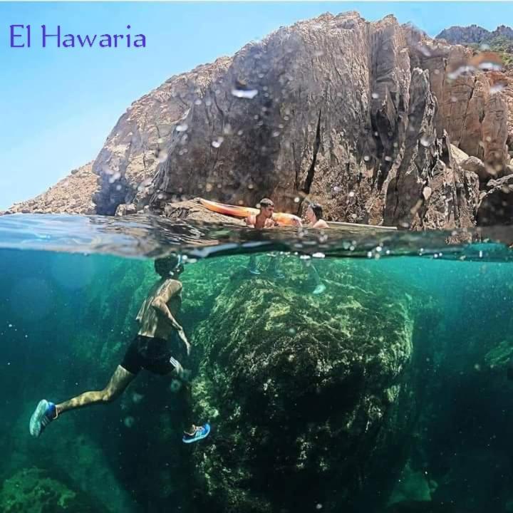 Residence Aquilaria Dar Narjes El Haouaria Dış mekan fotoğraf
